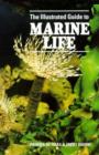 Image for The Illustrated Guide to Marine Life