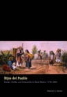 Image for Hijos del pueblo  : gender, family, and community in rural Mexico, 1730-1850