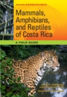 Image for Mammals, amphibians, and reptiles of Costa Rica  : a field guide