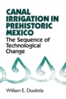 Image for Canal Irrigation in Prehistoric Mexico