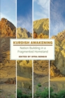 Image for The Kurds  : nation building in a fragmented homeland