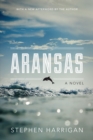 Image for Aransas  : a novel
