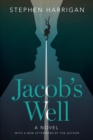 Image for Jacob&#39;s well  : a novel