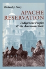 Image for Apache reservation: indigenous peoples and the American state