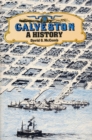 Image for Galveston: a history
