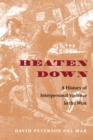Image for Beaten Down: A History of Interpersonal Violence in the West