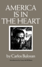 Image for America Is in the Heart: A Personal History