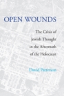 Image for Open Wounds: The Crisis of Jewish Thought in the Aftermath of the Holocaust