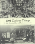 Image for 1001 Curious Things : Ye Olde Curiosity Shop and Native American Art