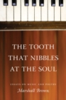 Image for The tooth that nibbles at the soul  : essays on music and poetry