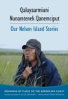 Image for Qaluyaarmiuni nunamtenek qanemciput  : meanings of place on the Bering Sea coast