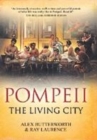 Image for Pompeii  : the living city