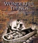 Image for Wonderful things  : uncovering the world&#39;s great archaeological treasures