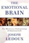 Image for The emotional brain  : the mysterious underpinnings of emotional life