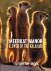 Image for The meerkats  : flower of the Kalahari