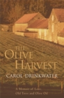 Image for The olive harvest  : a memory of love, old trees and olive oil