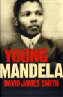 Image for Young Mandela