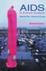 Image for AIDS in French Culture : Social Ills, Literary Cures