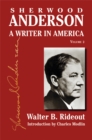 Image for Sherwood Anderson v. 2 : A Writer in America
