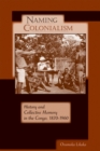 Image for Naming Colonialism : History and Collective Memory in the Congo, 1870-1960