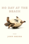 Image for No Day at the Beach