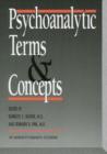 Image for Psychoanalytic Terms and Concepts