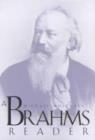 Image for A Brahms Reader