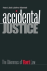 Image for Accidental justice  : the dilemmas of tort law