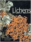 Image for Lichens of North America