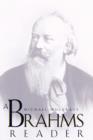 Image for A Brahms Reader
