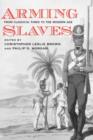 Image for Arming slaves  : from classical times to the modern age