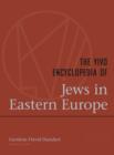 Image for The YIVO Encyclopedia of Jews in Eastern Europe
