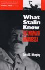 Image for What Stalin knew  : the enigma of Barbarossa