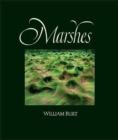 Image for Marshes