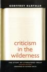 Image for Criticism in the Wilderness