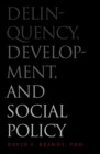 Image for Delinquency, development, and social policy