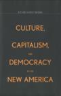Image for Culture, capitalism, and democracy in the New America