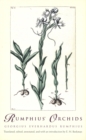 Image for Rumphius&#39; orchids: orchid texts from The Ambonese herbal