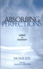 Image for Absorbing perfections: Kabbalah and interpretation
