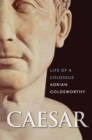 Image for Caesar: the life of a colossus