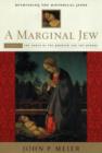 Image for A marginal Jew  : rethinking the historical JesusVol. 1: The roots of the problem and the person