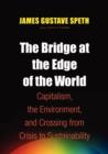 Image for The Bridge at the End of the World