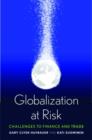 Image for Globalization at risk  : challenges to finance and trade