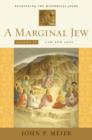 Image for A marginal Jew: rethinking the historical Jesus
