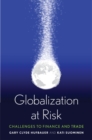 Image for Globalization at risk: challenges to finance and trade