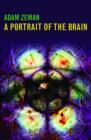 Image for A portrait of the brain