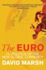 Image for The Euro  : the politics of the new global currency