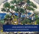 Image for John Marin&#39;s watercolours  : a medium for modernism
