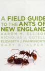 Image for A Field Guide to the Ants of New England