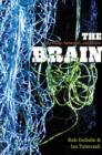 Image for The brain  : big bangs, behaviors, and beliefs